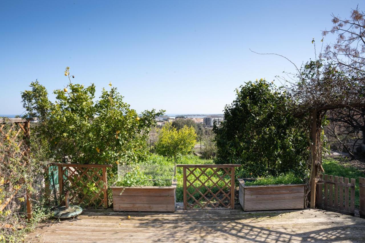 Ferienwohnung Corsica Fiurita Furiani Exterior foto